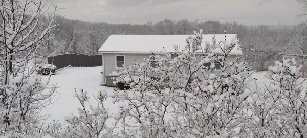 a house that has a tree in front of it