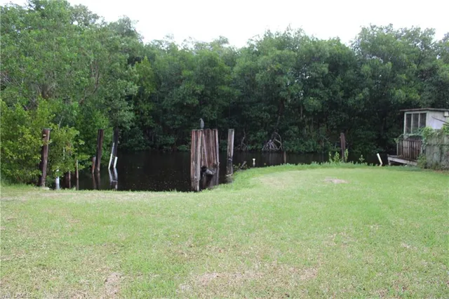 a view of backyard with green space