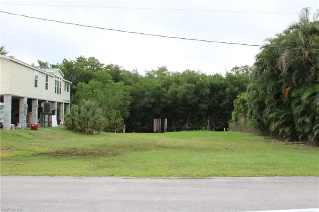 a view of a big yard with large trees