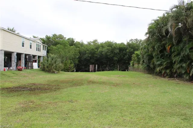 a view of a big yard with large trees