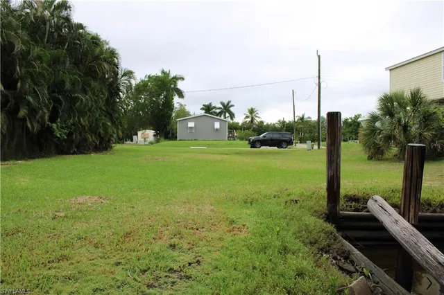 a view of a garden with a tree in the background