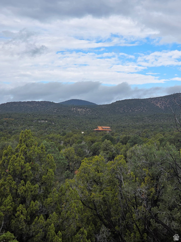 1342 North Old Hebron Road Enterprise, UT 84725 - Photo 67 of 67 View of mountain backdrop featuring a forest