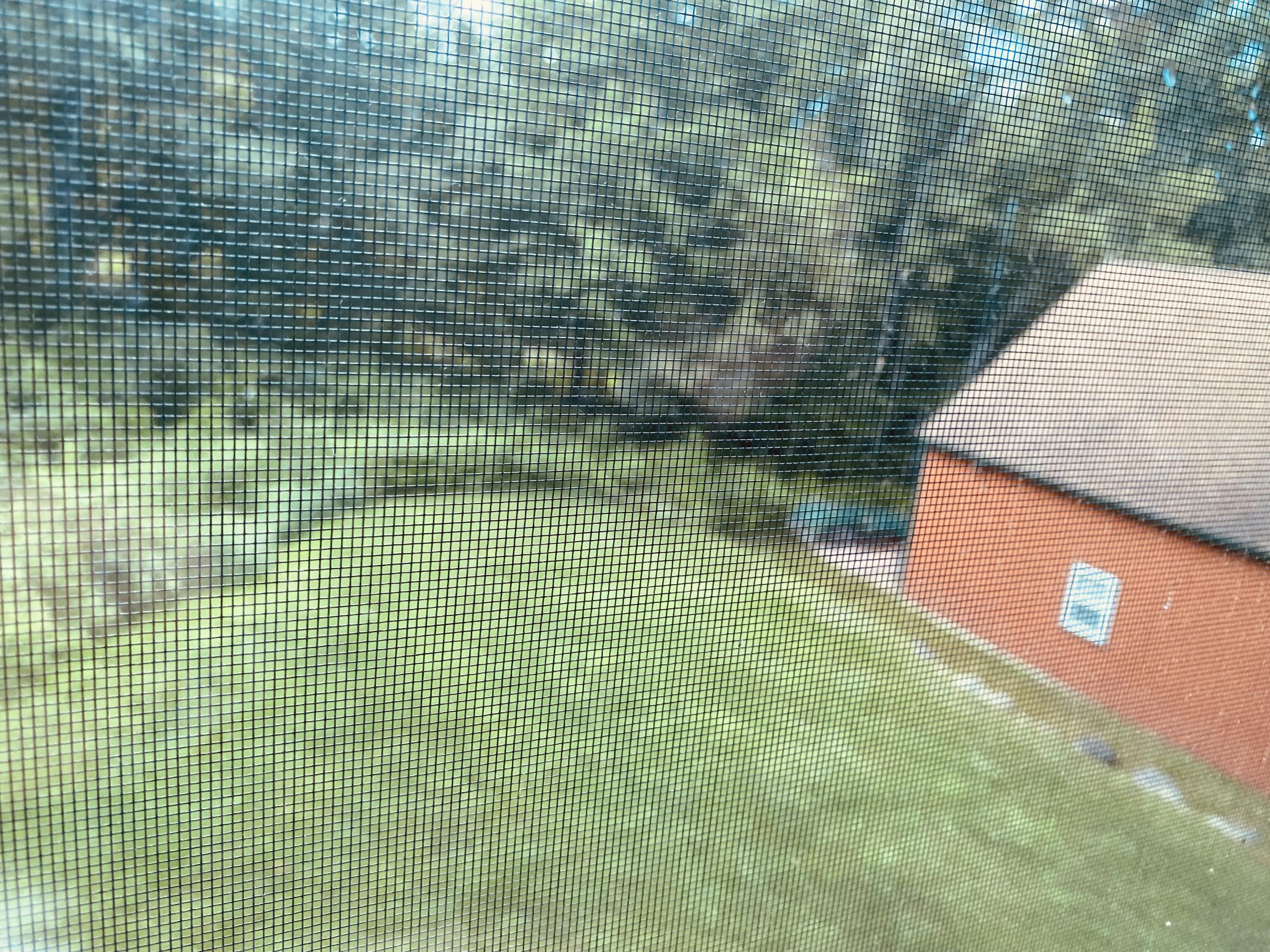 436 Isthmus Road Rumford, ME 04276 - Photo 34 of 68 38B4BDD3-513C-48CF-B387-F2CF2C22269A