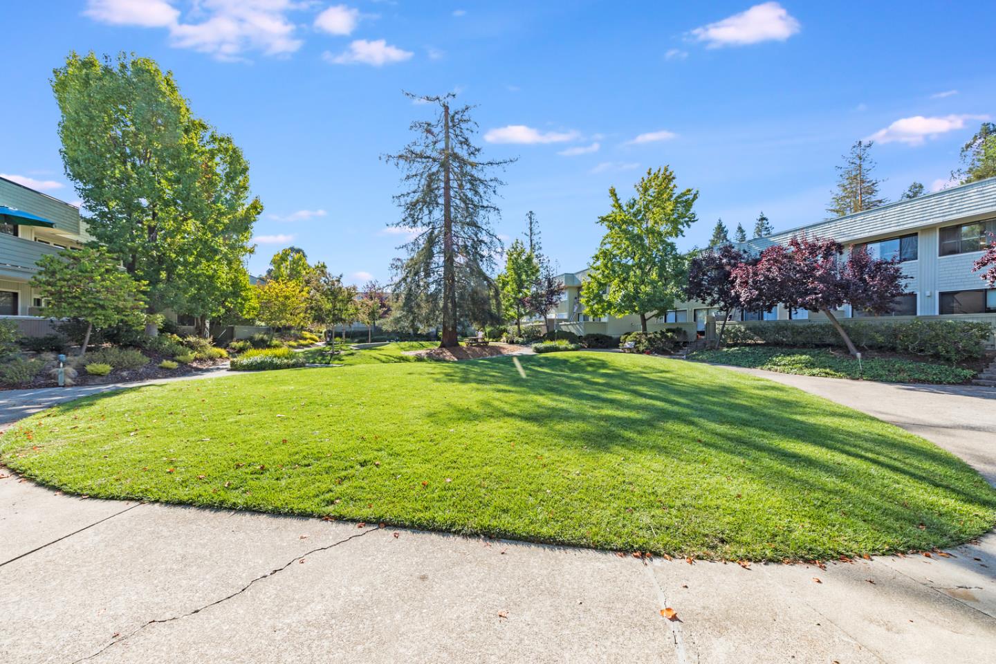 2339 Sharon Road Menlo Park, CA 94025 - Photo 24 of 27 Gallery Image 24