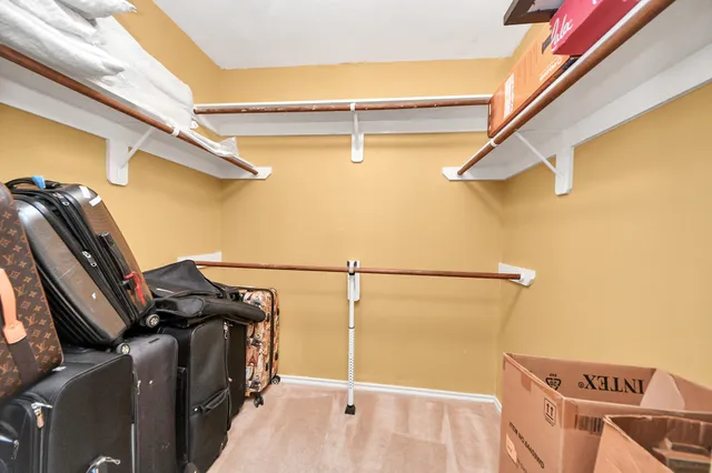 a view of a backyard with wooden fence and a large tree