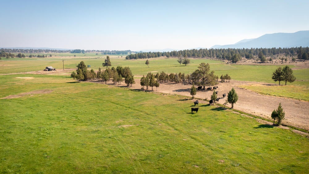 7150 Bunn Road Bonanza, OR 97623 - Photo 53 of 73 7150BunnRd.-13