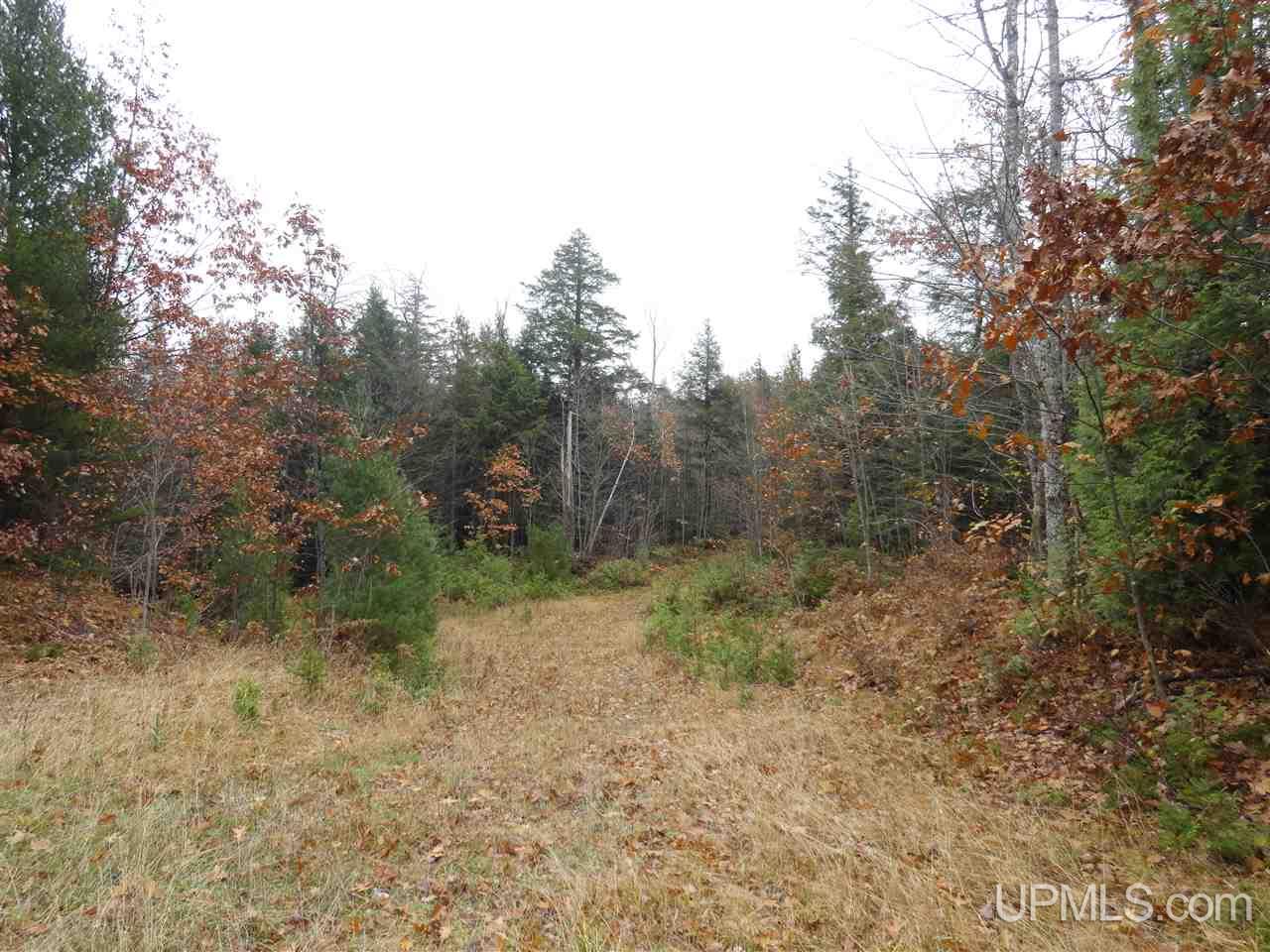 510 Rd Marquette Mi 49855 Road Negaunee, MI 49866 - Photo 15 of 26