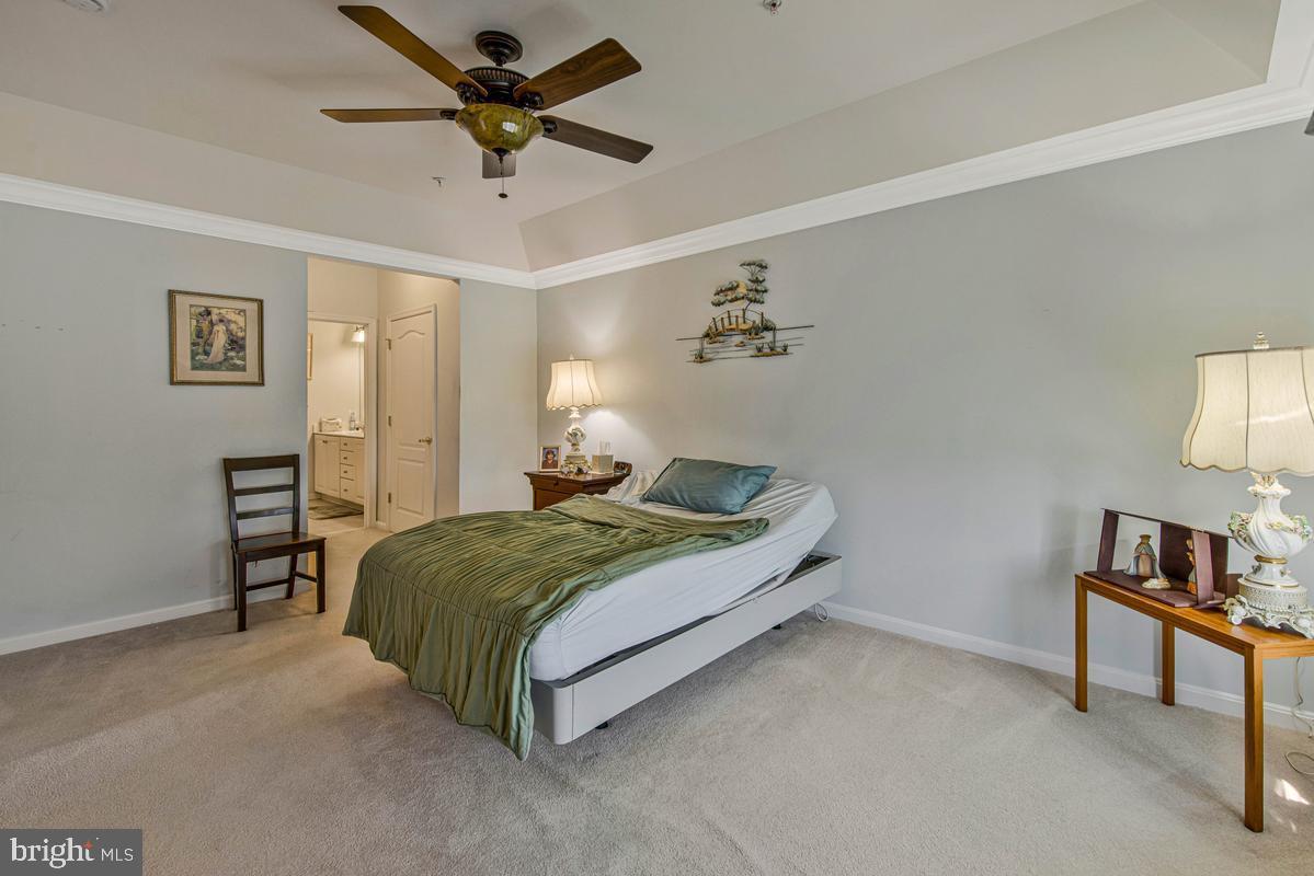 7335 Brookview Road, Unit 303 Elkridge, MD 21075 - Photo 22 of 50 Primary Bedroom