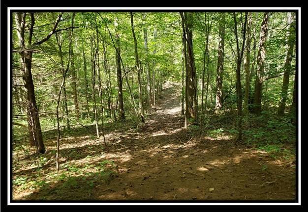 0 Pedigo Ridge Road, Unit TRACT 2) New Marshfield, OH 45766 - Photo 70 of 77 image070
