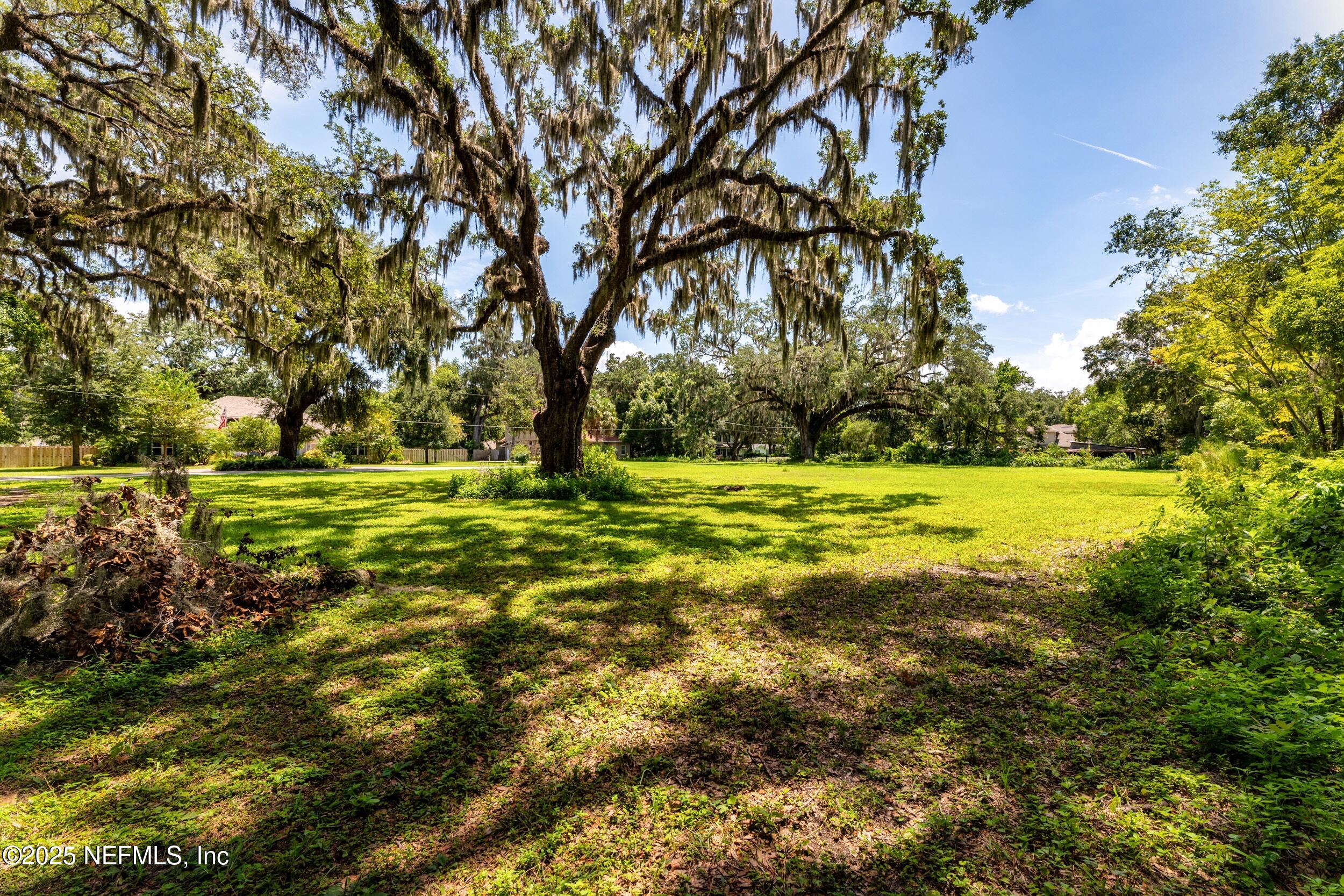 11666 Mandarin Terrace Road Jacksonville, FL 32223 - Photo 7 of 30 SW Corner