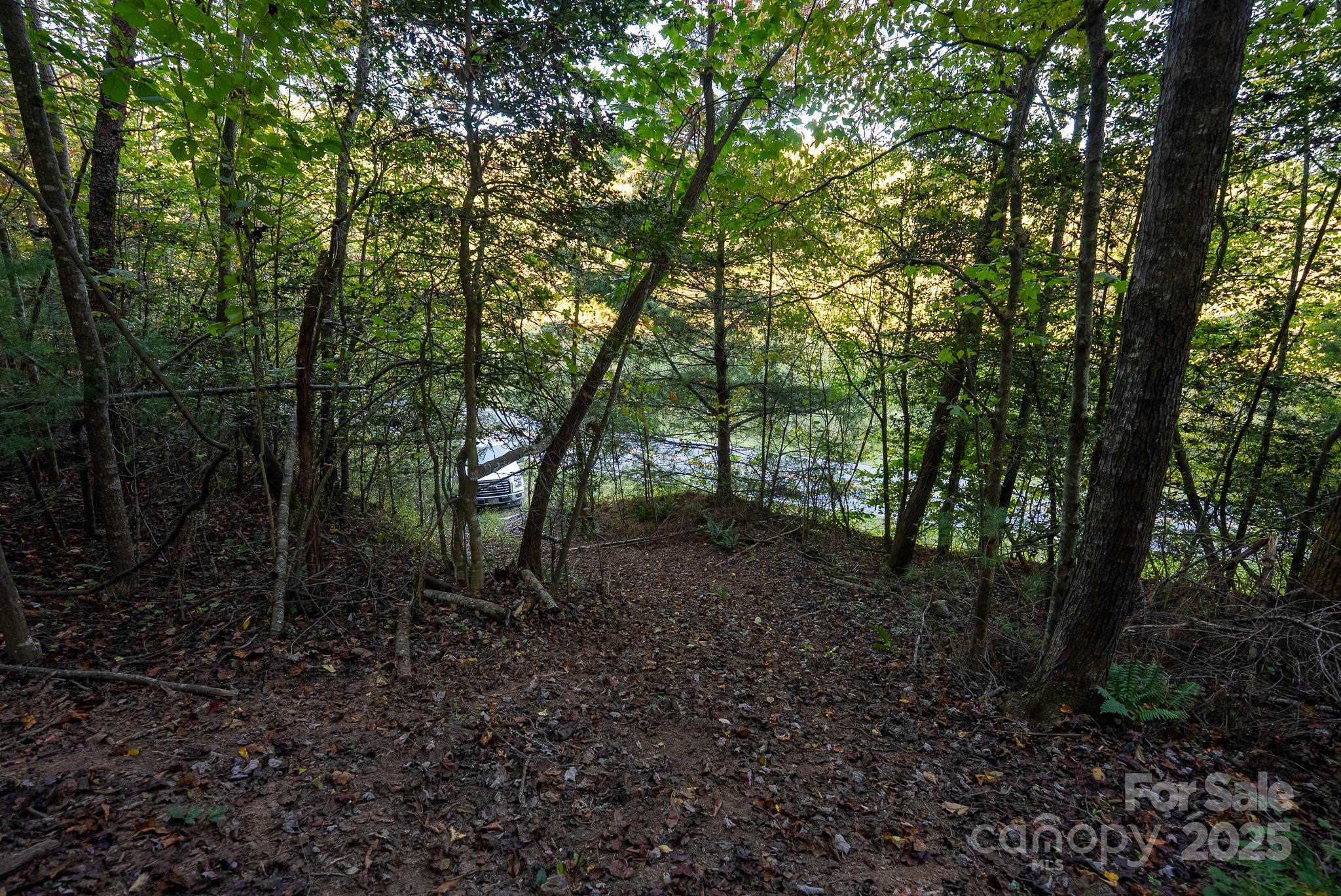 0 Shell Creek Road Ferguson, NC 28624 - Photo 26 of 28 Gallery Image 26