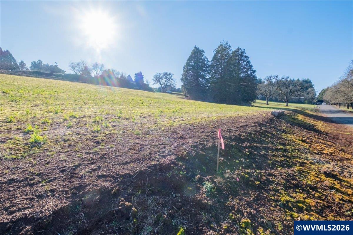 8216 Enchanted Ridge Court Southeast Turner, OR 97392 - Photo 10 of 18