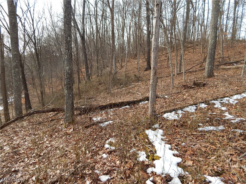 Fingerboard Road Big Springs, WV 26137 - Photo 19 of 21