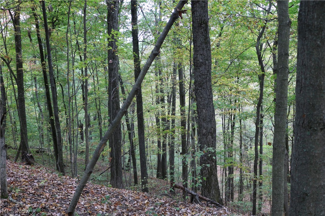 2115 Goss Fork Road Whipple, OH 45788 - Photo 20 of 32 Gallery Image 20