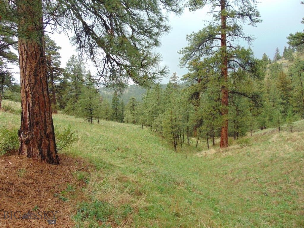 Tbd Shady Spring Lane Cascade, MT 59421 - Photo 15 of 78 Gallery Image 15