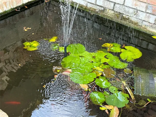 a view of a bunch of flowers