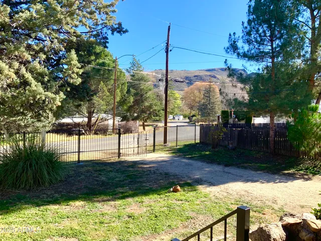 a view of a yard with plants