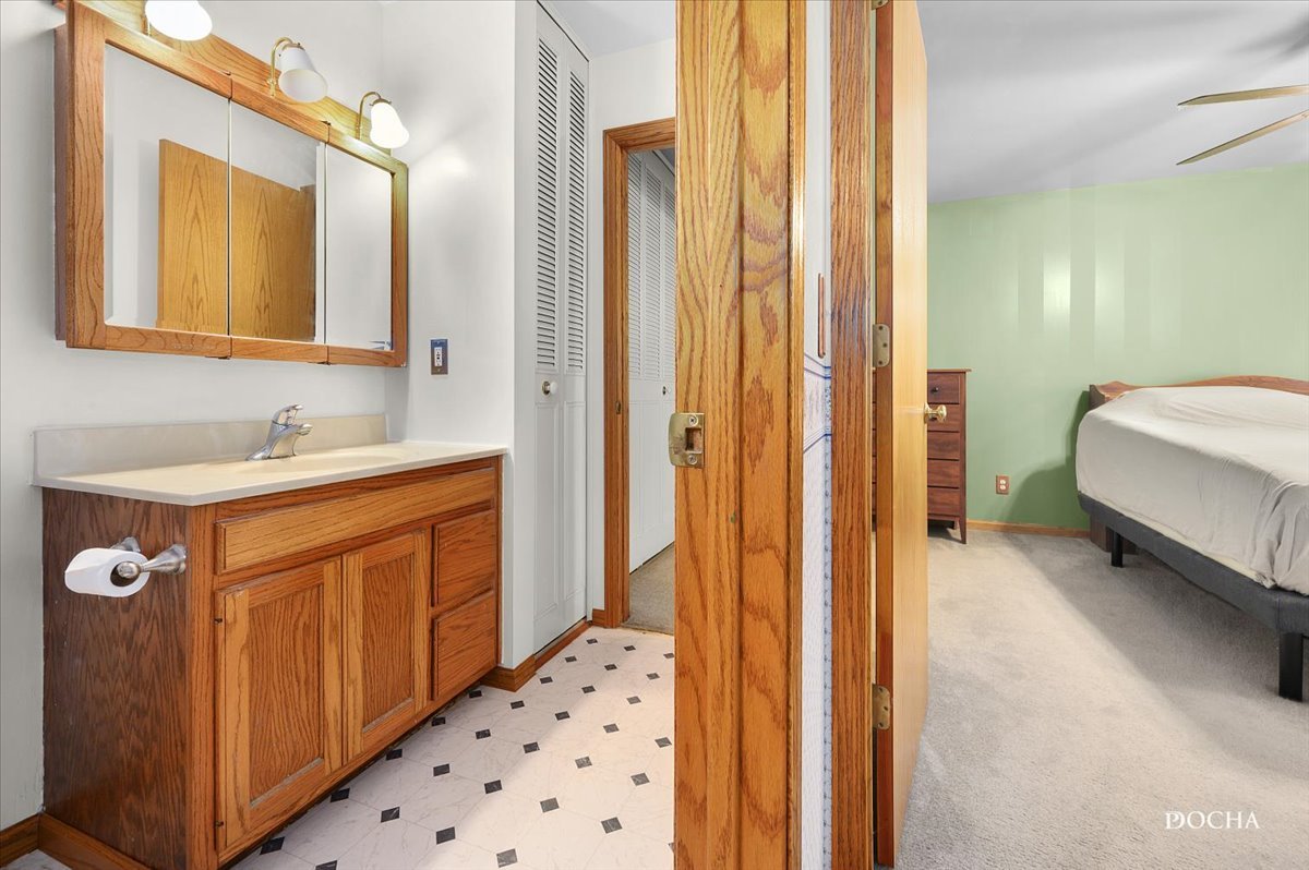 38 Pembrooke Road Montgomery, IL 60538 - Photo 10 of 16 a en suite bathroom with a sink a mirror and a shower