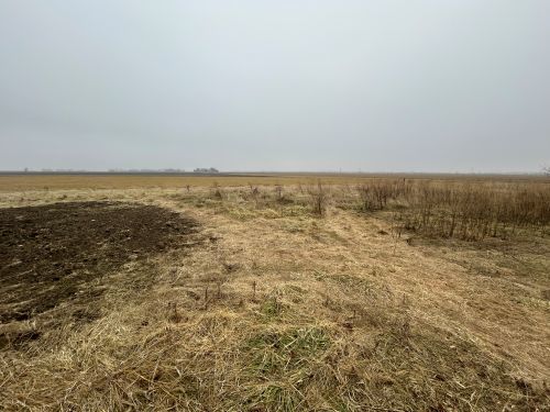 10940 South Dwight Road Dwight, IL 60420 - Photo 19 of 20 a view of an ocean