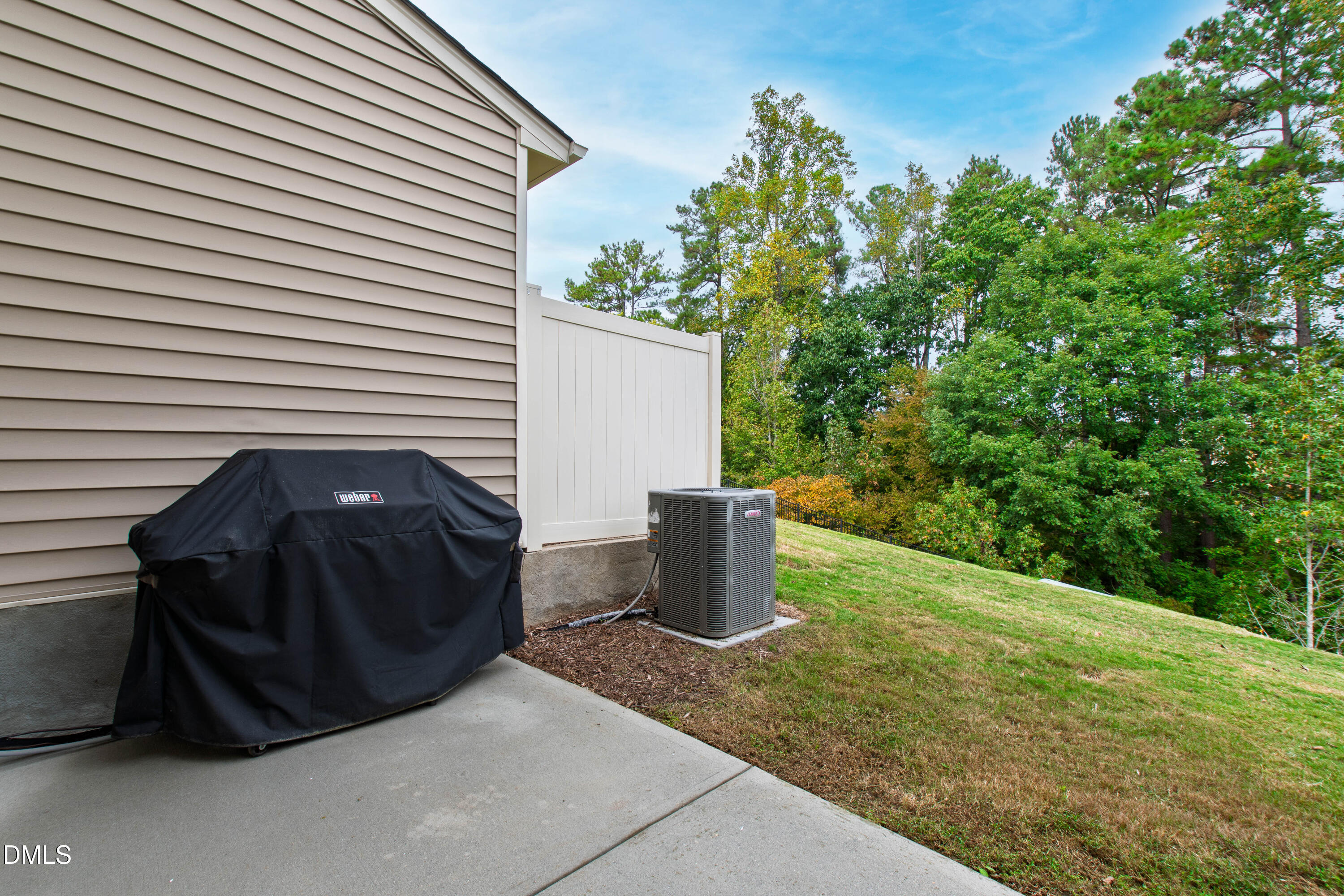 6246 Pesta Court Raleigh, NC 27612 - Photo 31 of 37 a view of a backyard
