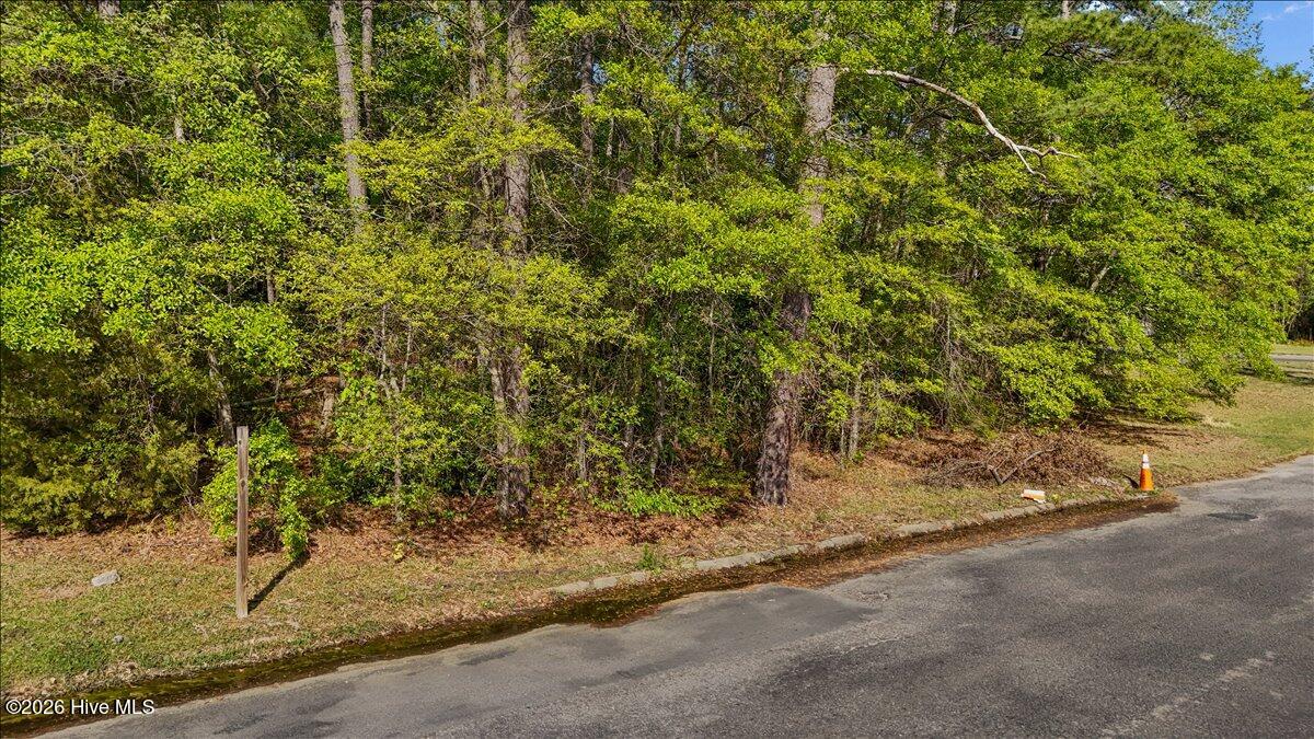 Lot 1 Biltmore Drive Rockingham, NC 28379 - Photo 9 of 15 09-dji_fly_20260409_163808_0054_17757854