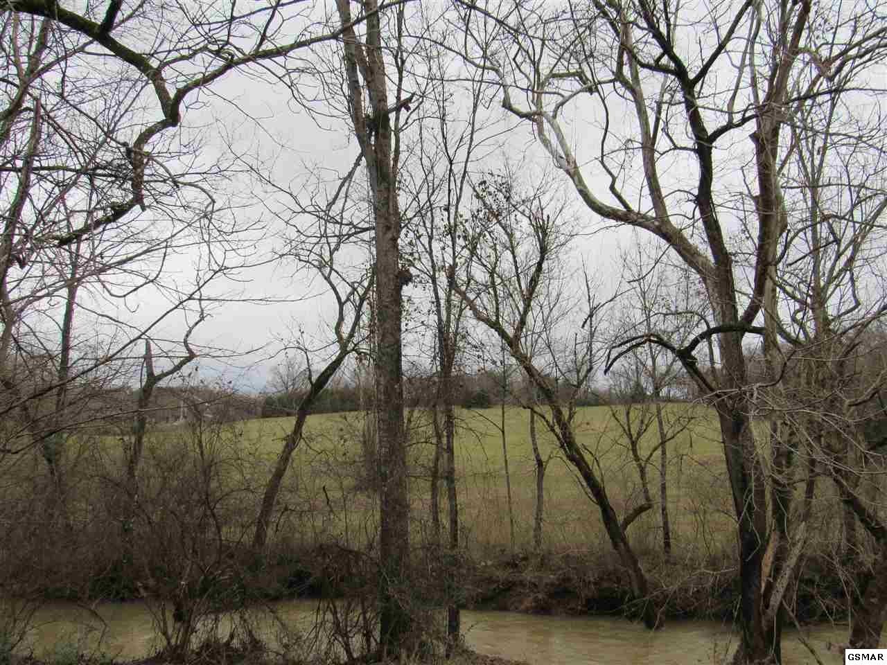0 Douglas Dam Road Kodak, TN 37764 - Photo 2 of 20 Gallery Image 2