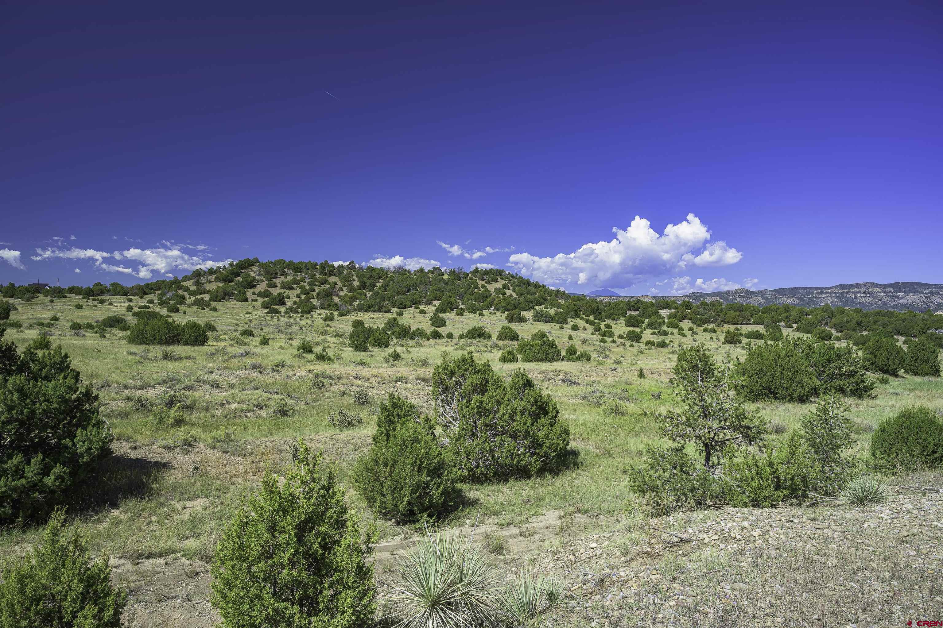 13700 Corundum Road Trinidad, CO 81082 - Photo 1 of 28 a view of a building with a yard