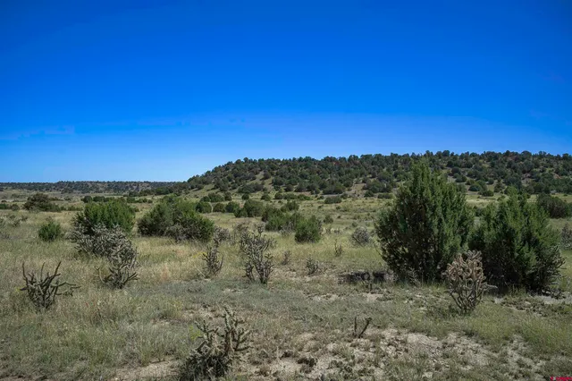 a view of a mountain