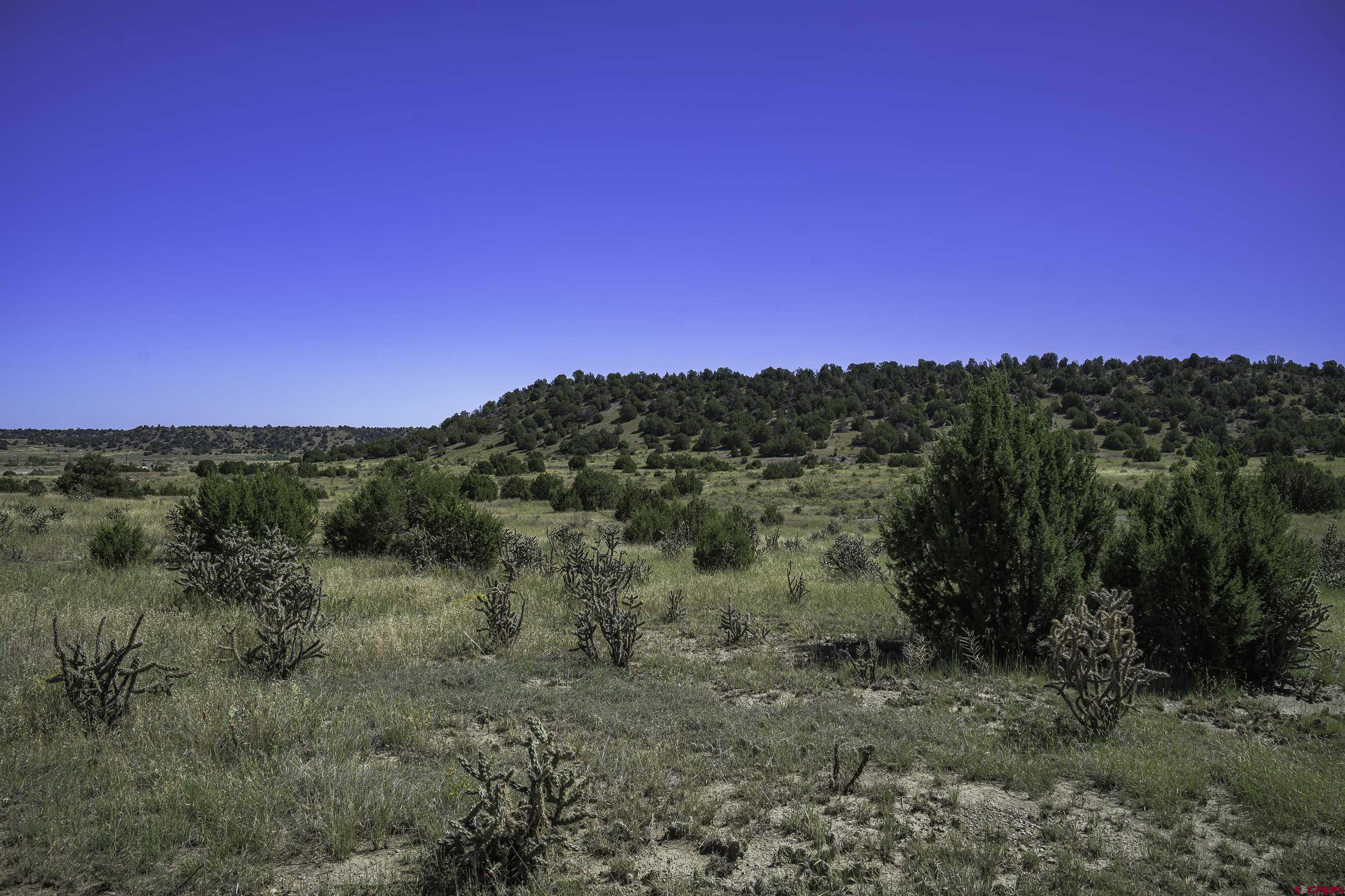 13700 Corundum Road Trinidad, CO 81082 - Photo 12 of 28 a view of a mountain