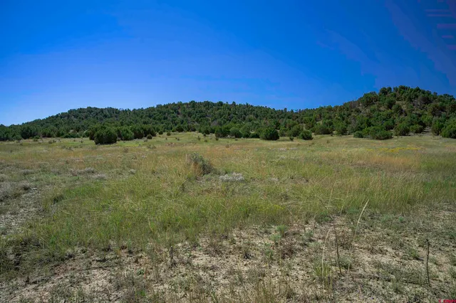 a view of an outdoor space and a yard