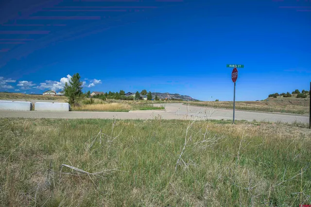 a view of a yard with an ocean view