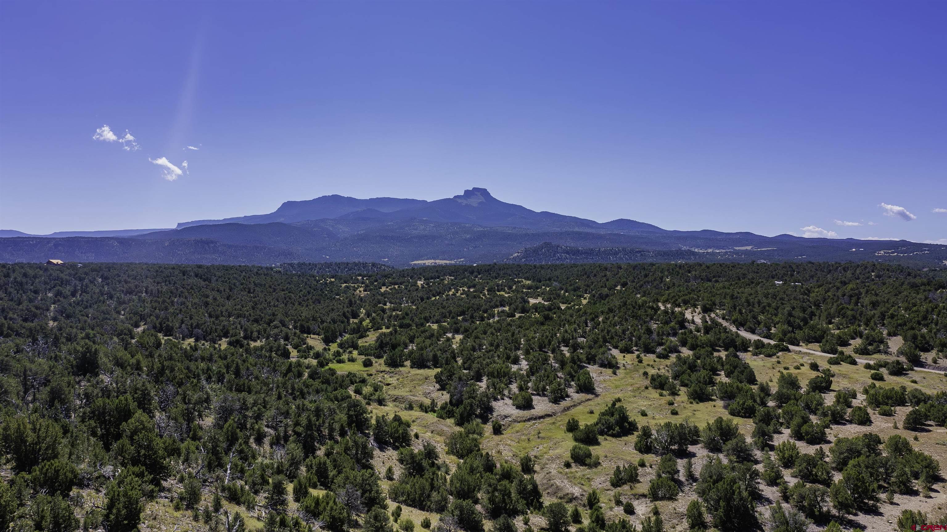 13700 Corundum Road Trinidad, CO 81082 - Photo 2 of 28 a view of a large tree with a mountain in the background
