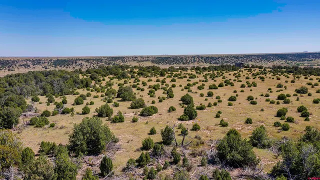 a view of beach and ocean