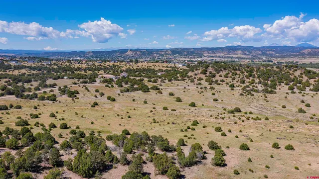 a view of city and ocean