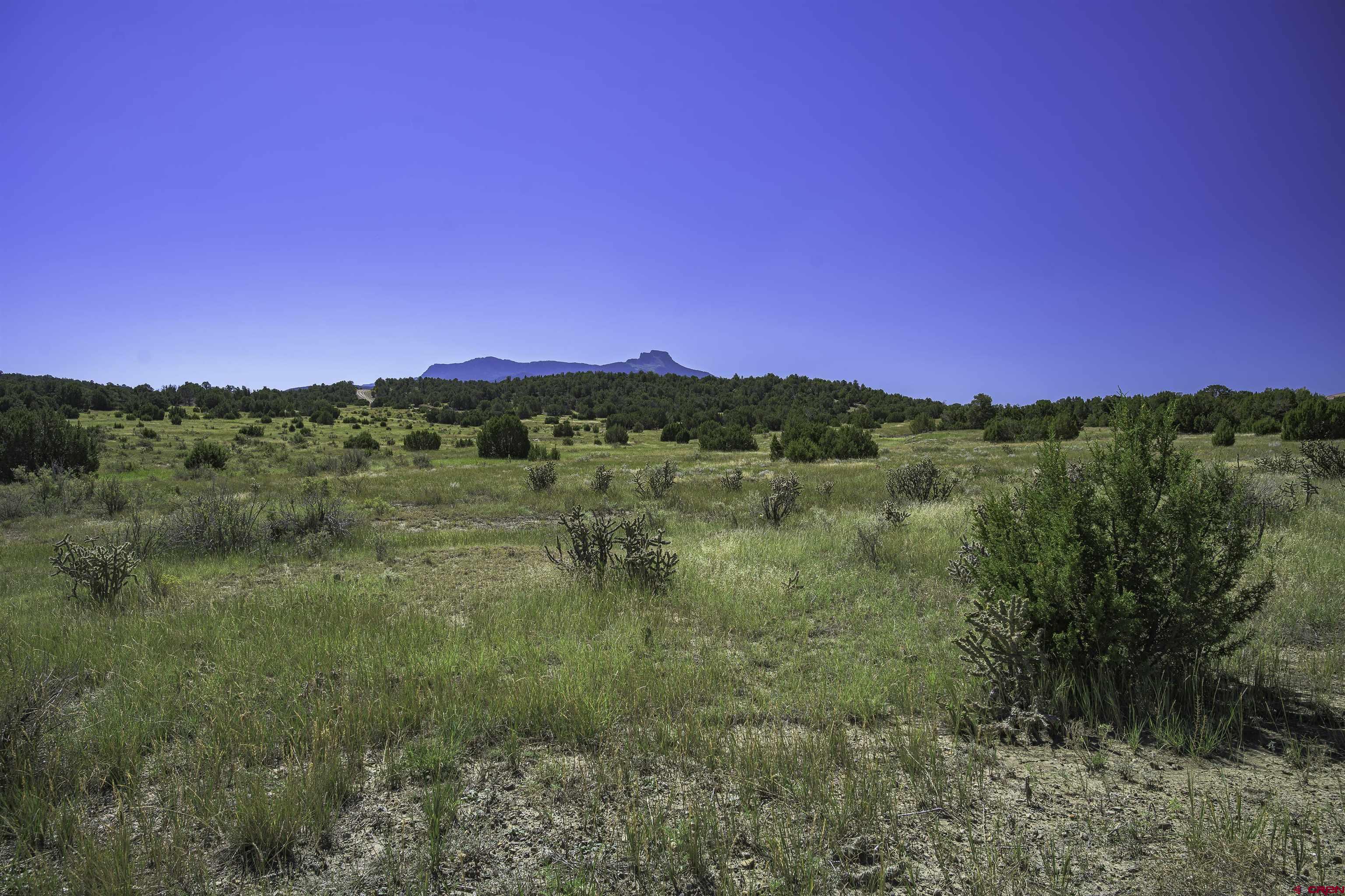 13700 Corundum Road Trinidad, CO 81082 - Photo 3 of 28 a view of a lake with a yard