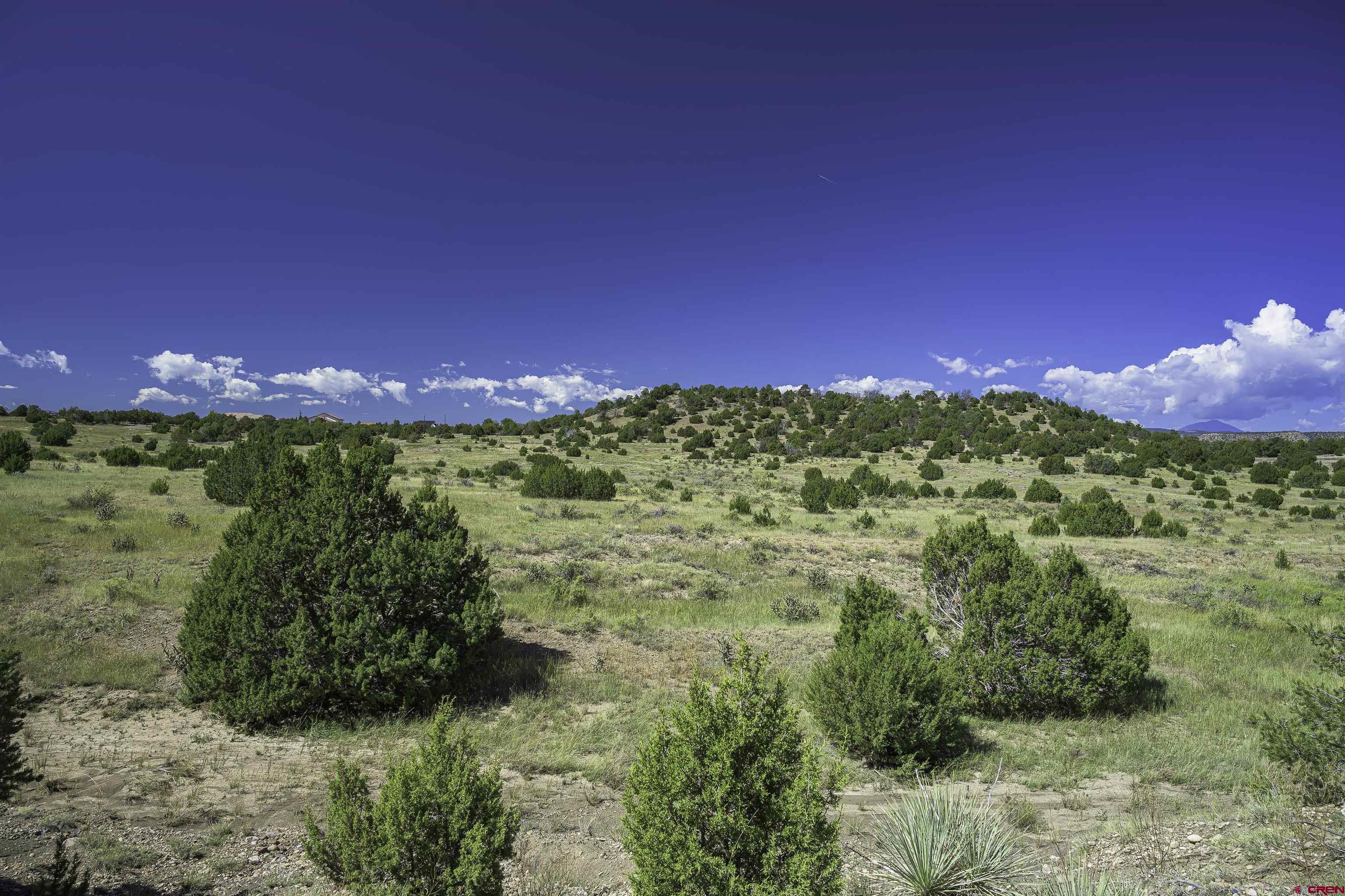 13700 Corundum Road Trinidad, CO 81082 - Photo 4 of 28 a view of a yard with a tree