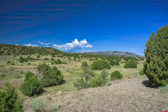 a view of a yard with an outdoor space