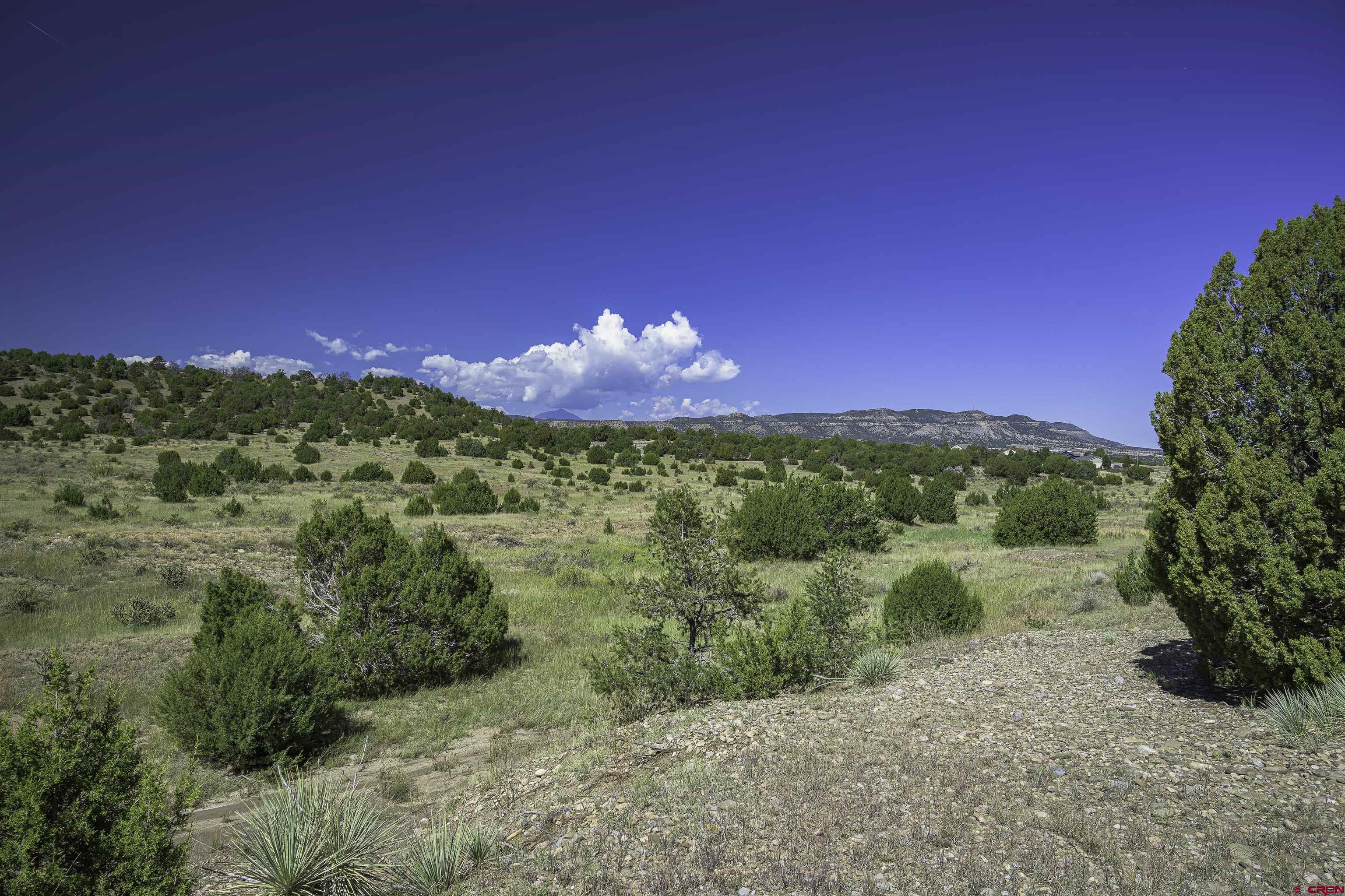 13700 Corundum Road Trinidad, CO 81082 - Photo 5 of 28 a view of a yard with an outdoor space