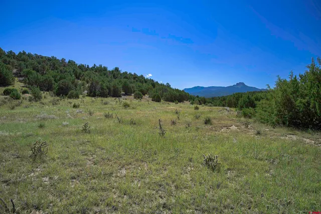 a view of an outdoor space and a yard
