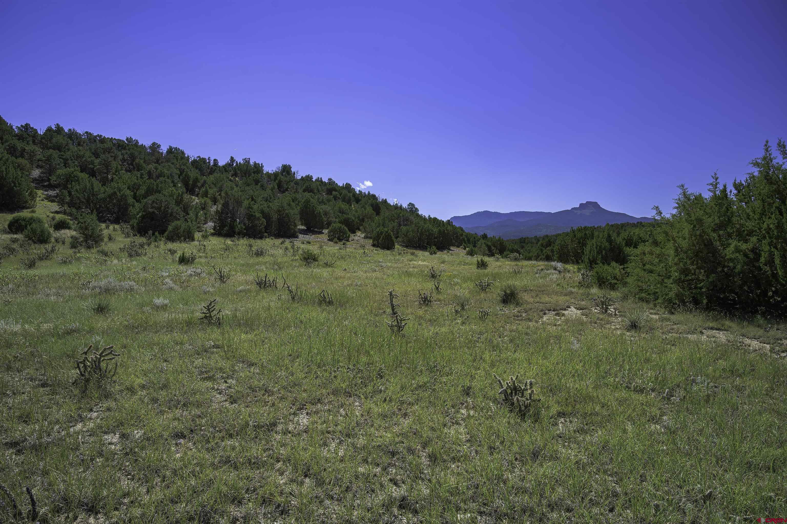 13700 Corundum Road Trinidad, CO 81082 - Photo 6 of 28 a view of an outdoor space and a yard