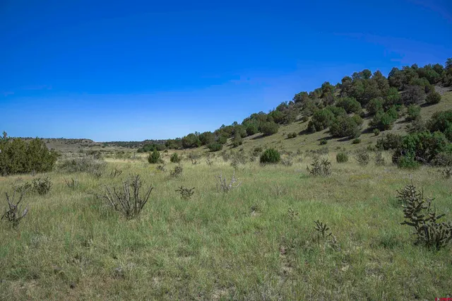 a view of mountain with lush green forest