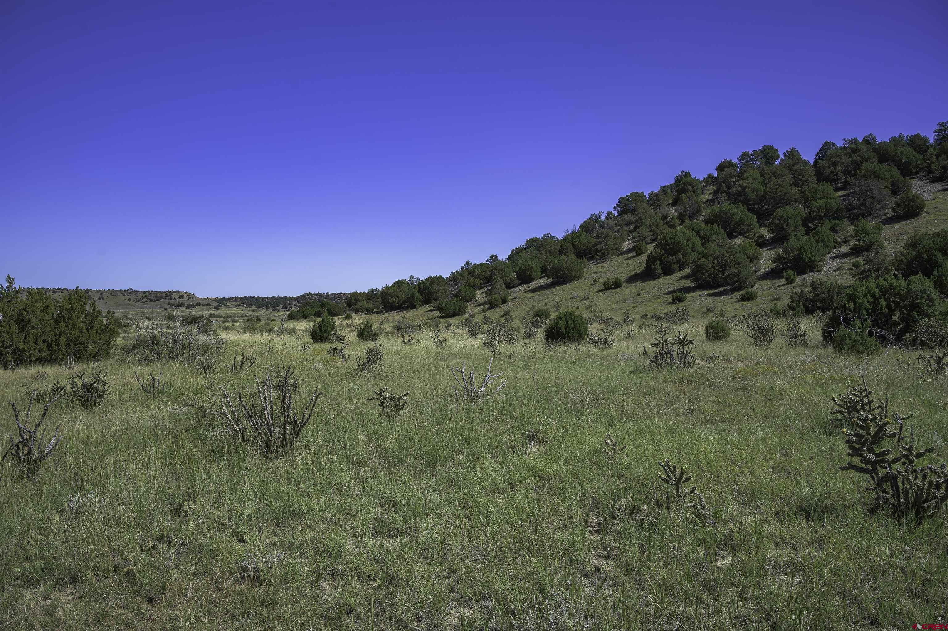 13700 Corundum Road Trinidad, CO 81082 - Photo 7 of 28 a view of mountain with lush green forest