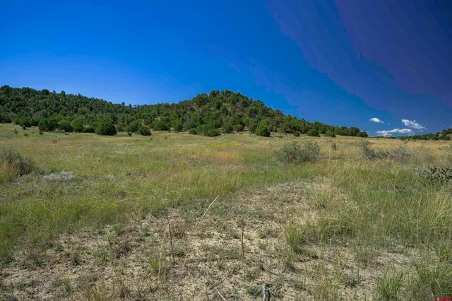 a view of an outdoor space and a yard