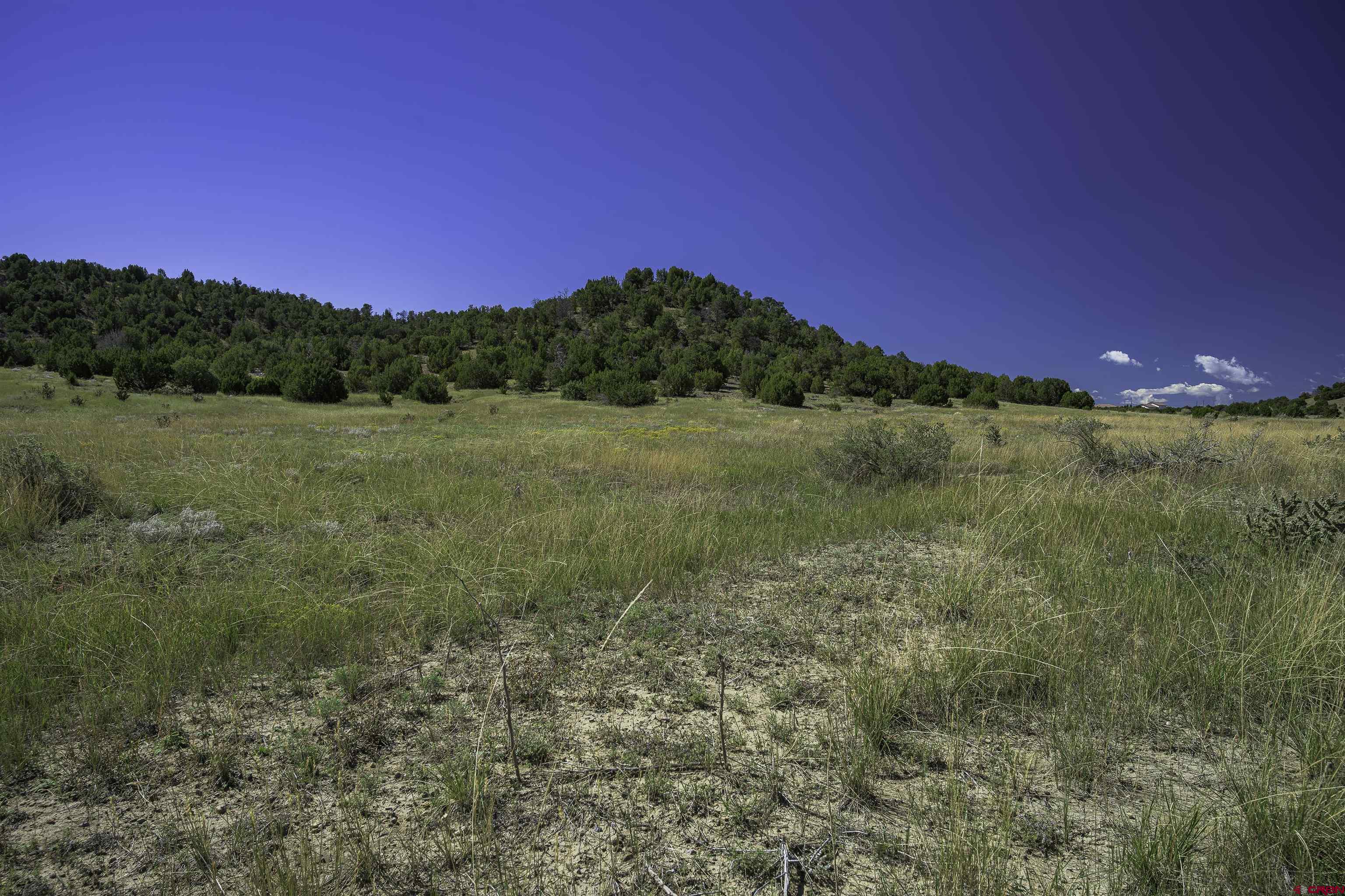 13700 Corundum Road Trinidad, CO 81082 - Photo 8 of 28 a view of an outdoor space and a yard