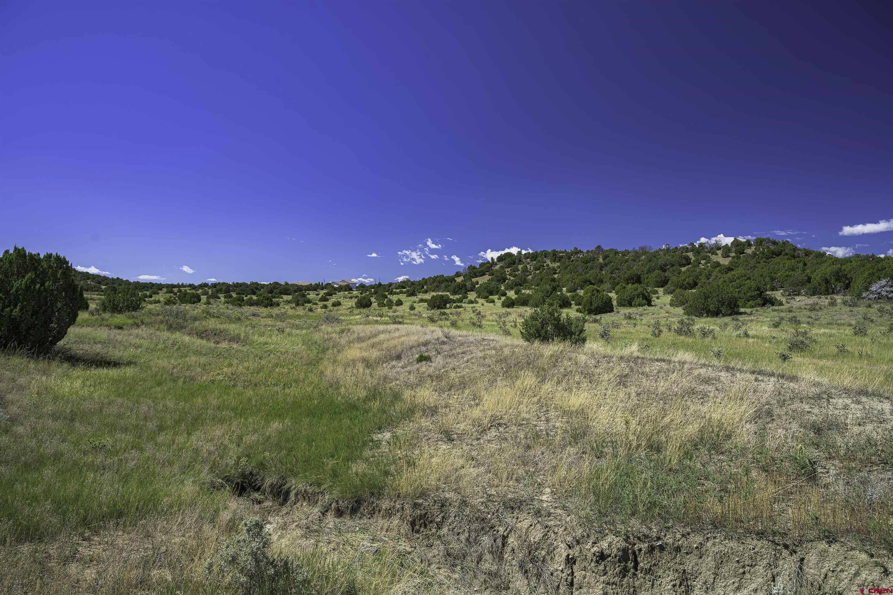 13700 Corundum Road Trinidad, CO 81082 - Photo 9 of 28 a view of a yard with an ocean