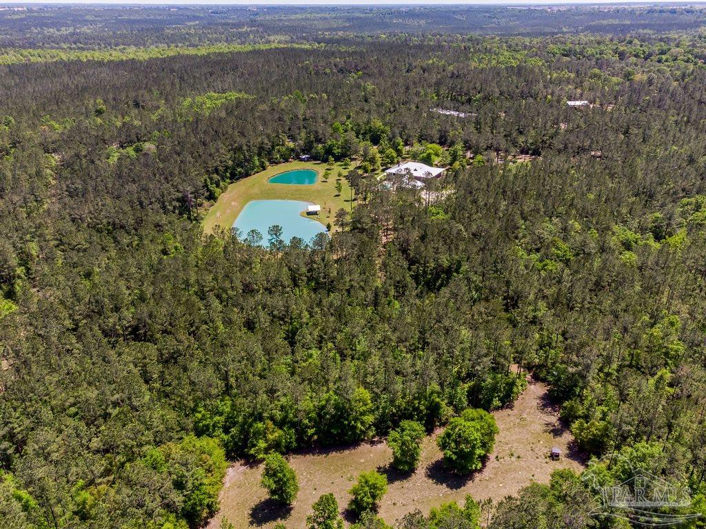 4512 Morristown Road Jay, FL 32565 - Photo 8 of 49 Gallery Image 8