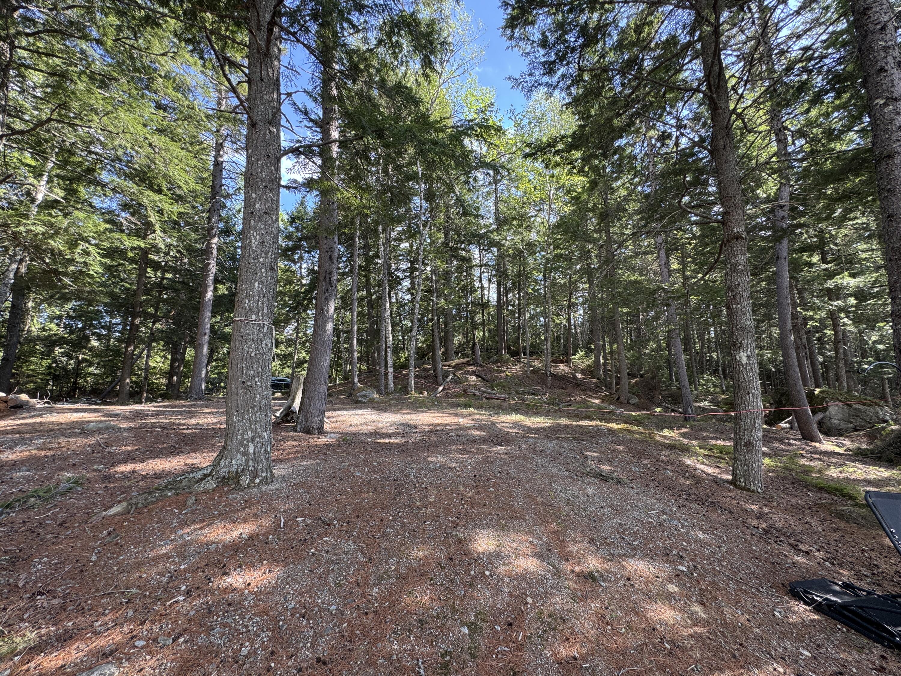 0 Elbow Lake Road Millinocket, ME 04462 - Photo 13 of 33 IMG_0425
