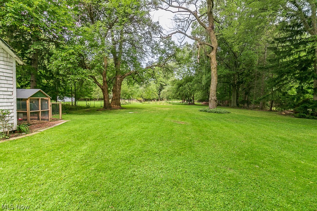 4551 Ammon Road Cleveland, OH 44143 - Photo 10 of 35 Gallery Image 10