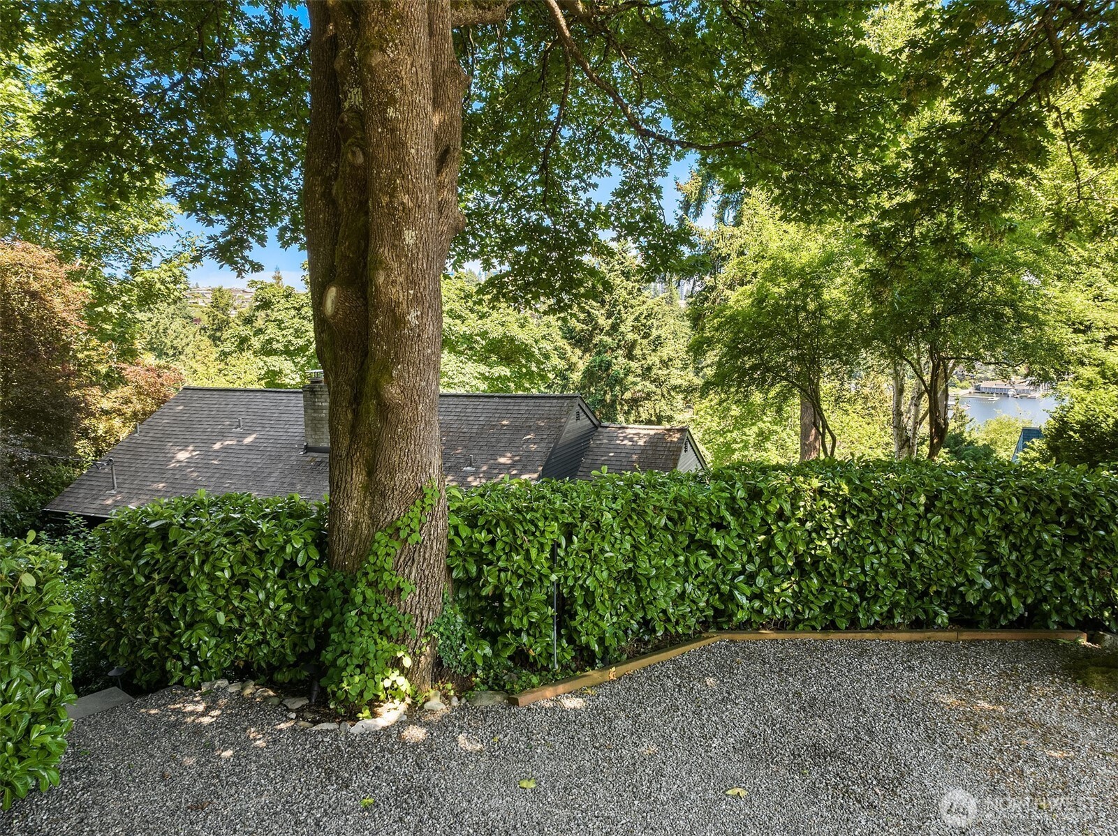 602 Upland Road Medina, WA 98039 - Photo 25 of 26 Gallery Image 25