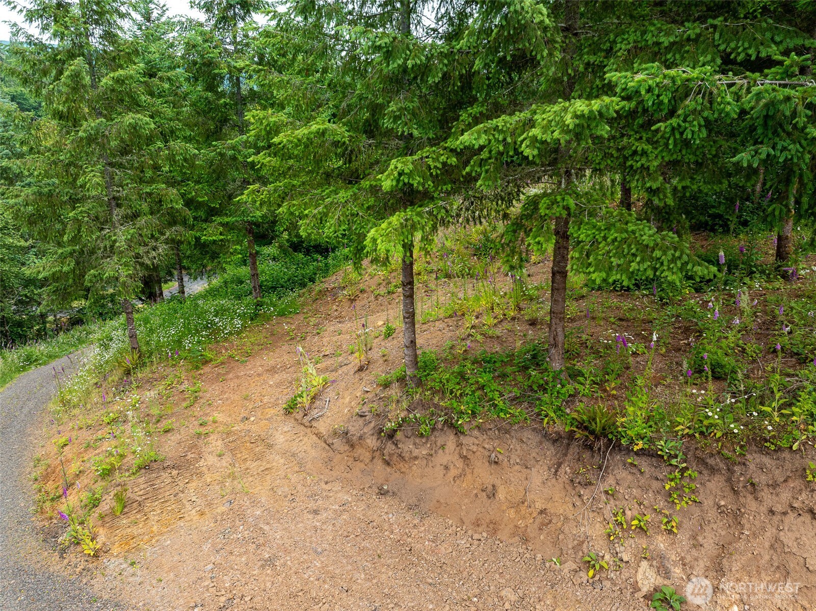 0 Mahaffey Road Kelso, WA 98626 - Photo 16 of 28 Gallery Image 16